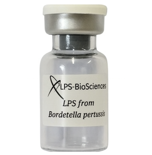 LPS from Bordetella pertussis – UltraPure Grade