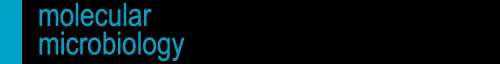 Bordetella bronchiseptica PagP is a Bvg-regulated lipid A palmitoyl transferase that is required for persistent colonization of the mouse respiratory tract.